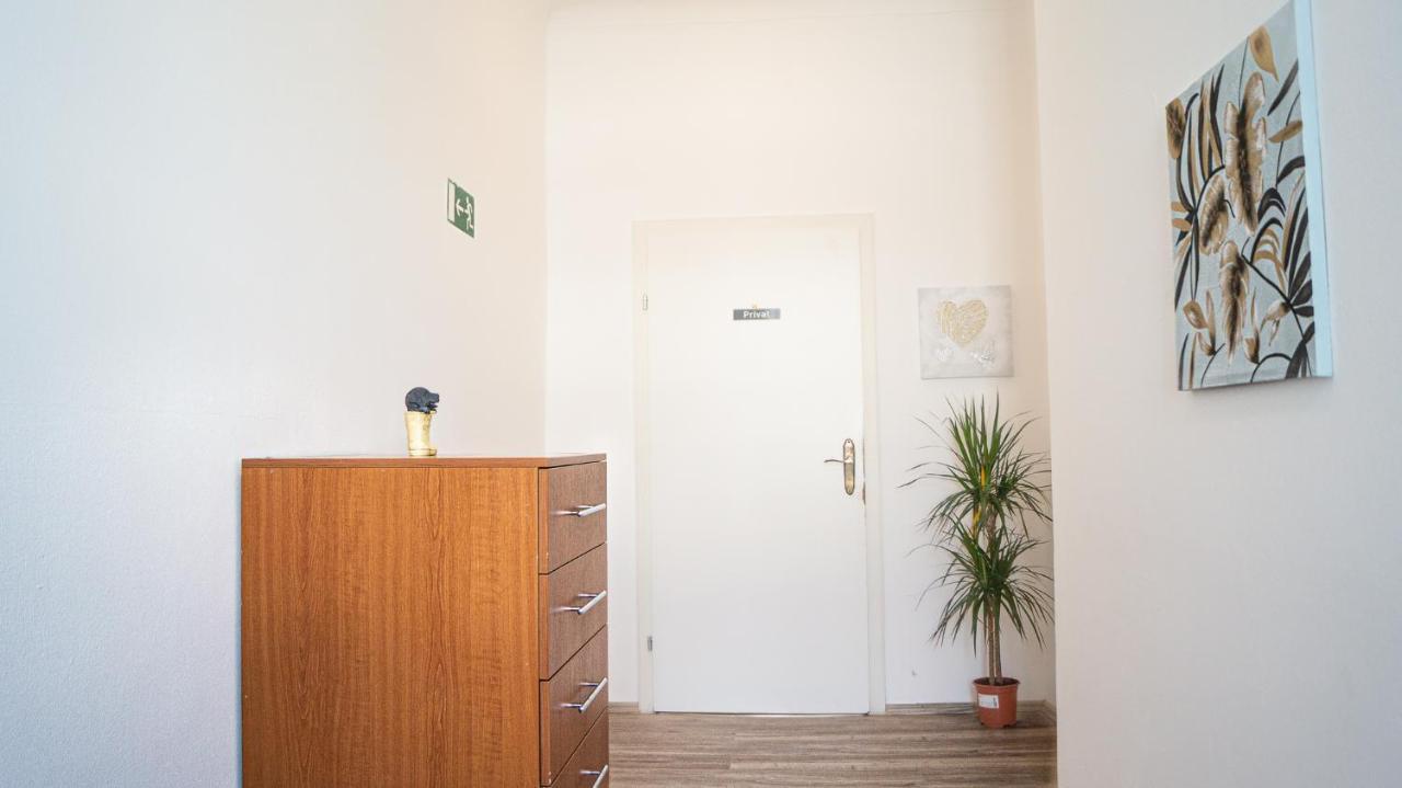 Spacious Shared Schoenbrunn * Vienna